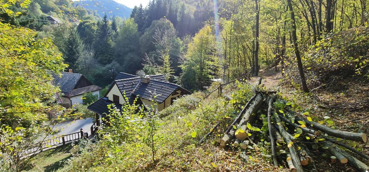 Pod Zlatym Vrchom Banska Stiavnica
